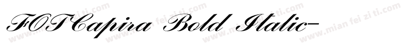 FOTCapira Bold Italic字体转换